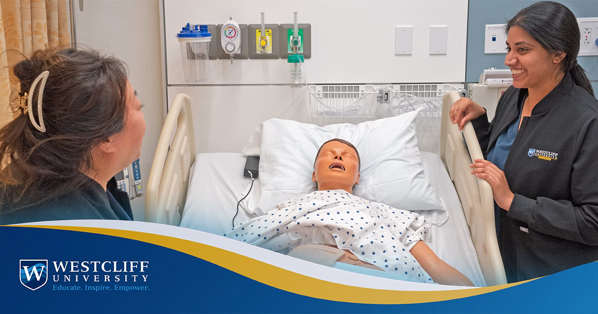 The Career Path of a Nurse: From BSN to Advanced Practice